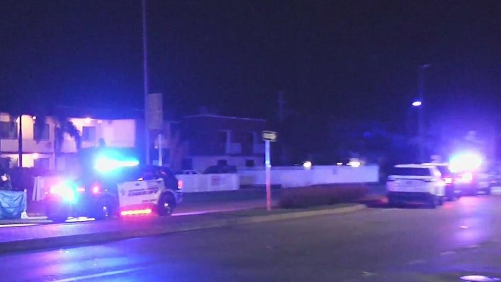 Woman accused of killing man in Dania Beach hit-and-run, BSO says — CBS Miami, St. Helena Community news