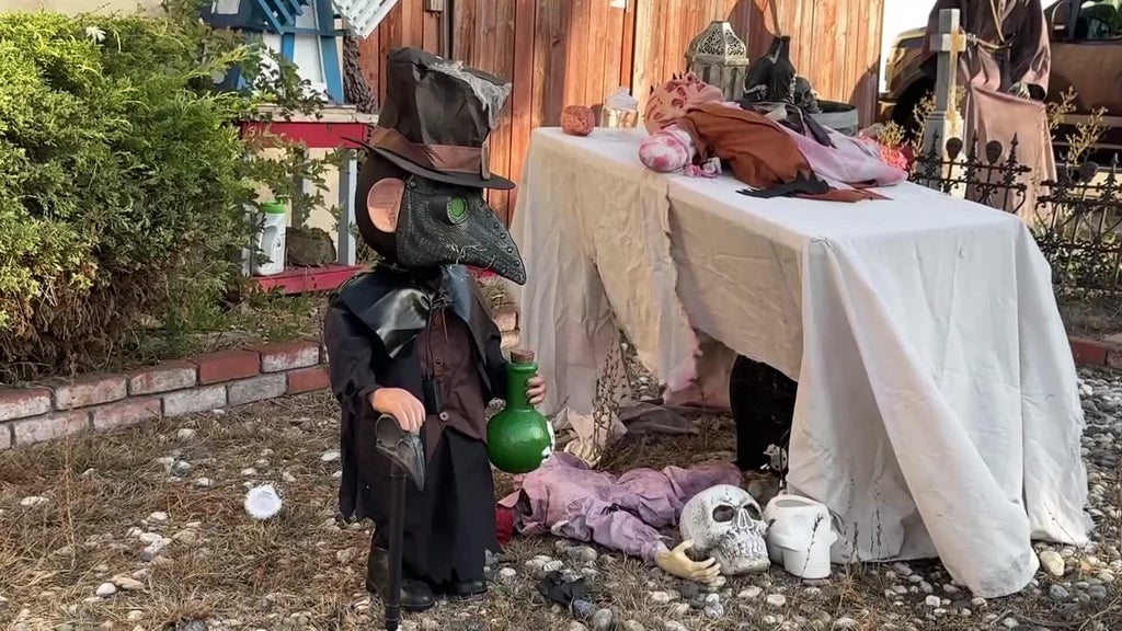 Halloween decorations worth roughly $700 stolen from San Leandro home — CBS Bay Area (KPIX), St. Helena Schools news