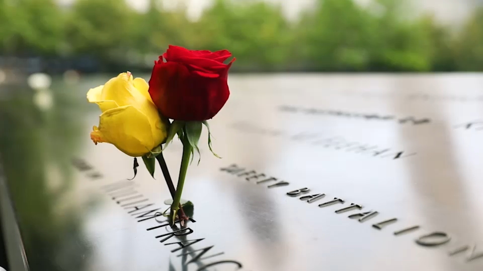Second 9/11 victim identified with breakthrough genetic genealogy, NYC officials say
— ABC 7 Bay Area, St. Helena Community news