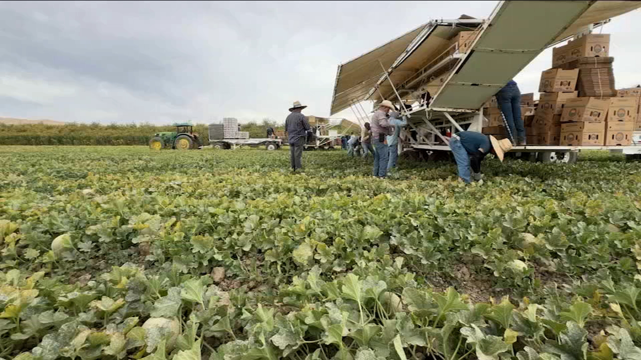 New California law raises farmworker minimum wage to $19.75 an hour
       — ABC 7 Bay Area