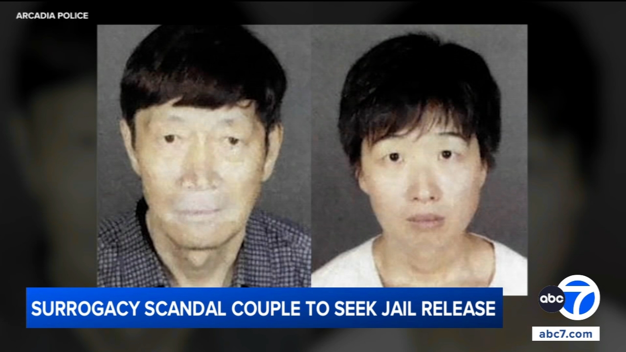 California couple accused in surrogacy scandal to seek release from jail, attorneys say
       — ABC 7 Bay Area, St. Helena Community news