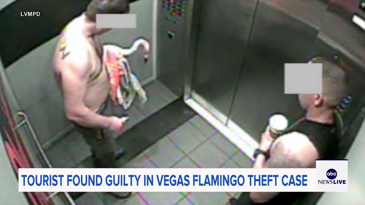 Man who snatched Peachy the flamingo from Las Vegas hotel exhibit found guilty of animal cruelty
— ABC 7 Bay Area, St. Helena Arts news