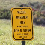 Pointers for Public Land Hunting — NewsDakota, St. Helena Sports news