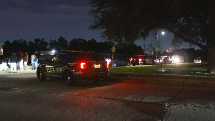 HPD: Man dies after going for swim in Sims Bayou in southeast Houston — KHOU 11 (Houston), St. Helena Sports news