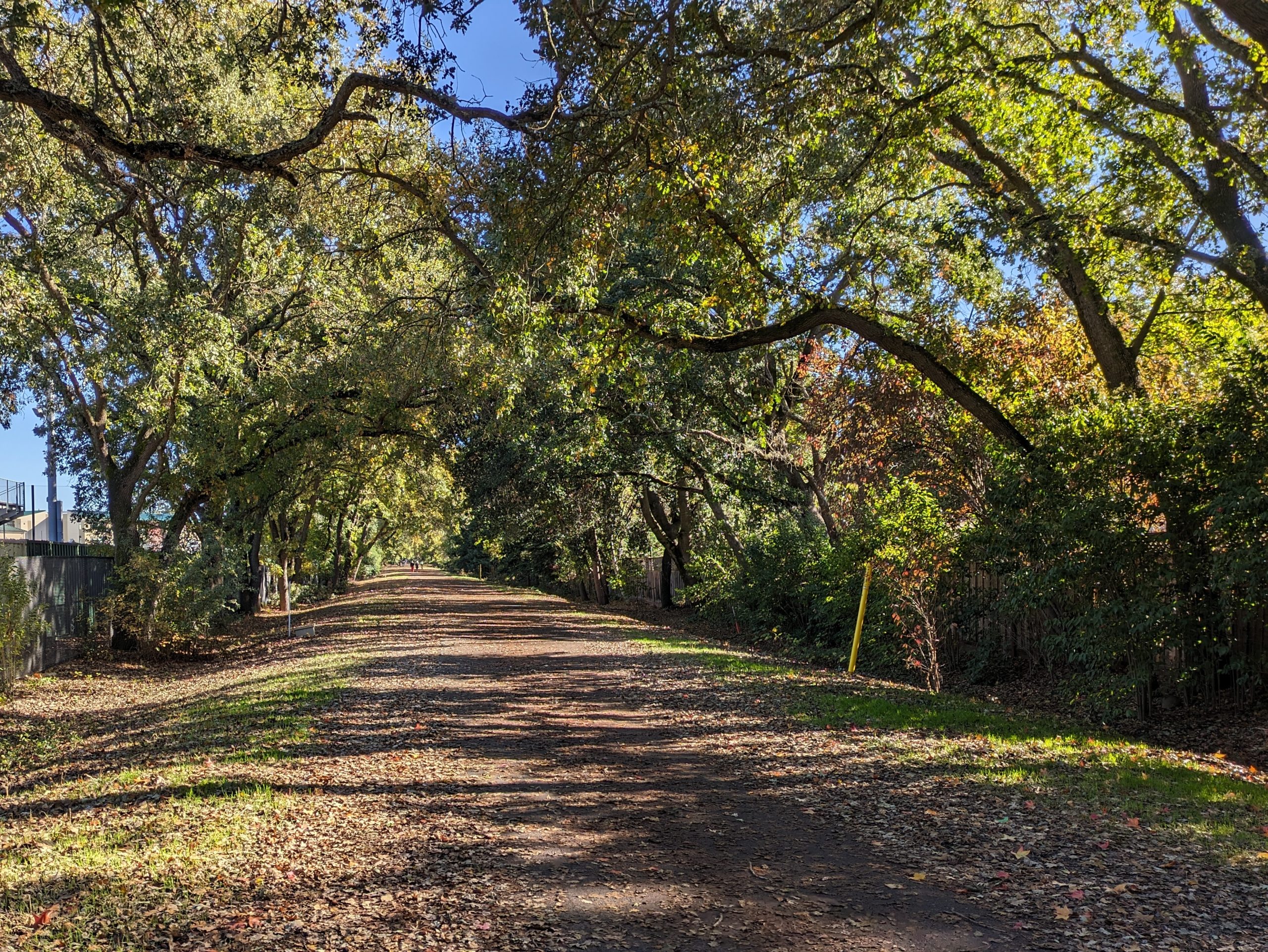E-bikes have been allowed on East Bay trails for three years. How’s it going? — The Oaklandside, St. Helena Community news