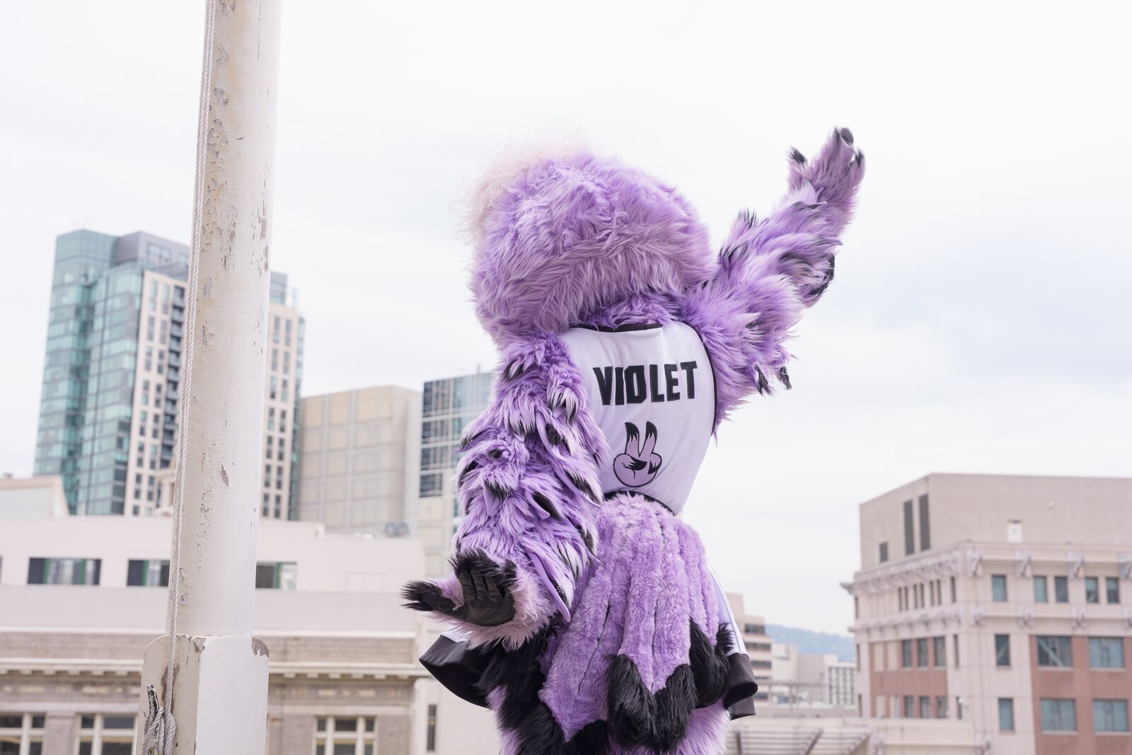 This week in Oakland: an outdoor Valkyries watch party, and singersongwriter Laura Anglade at Yoshi’s — The Oaklandside, St. Helena Arts news