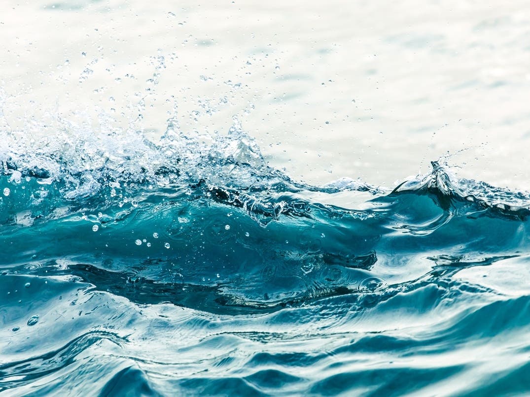 Deadly Hostage Standoff Details | Kelvin Wave Brings Record Sea Levels: Patch PM — San Francisco Patch, St. Helena Community news