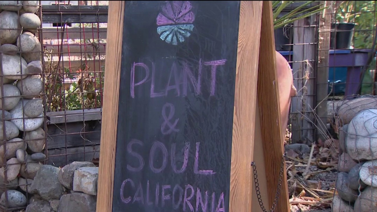 San Jose community garden faces possible eviction — KTVU FOX 2 Bay Area, St. Helena Schools news