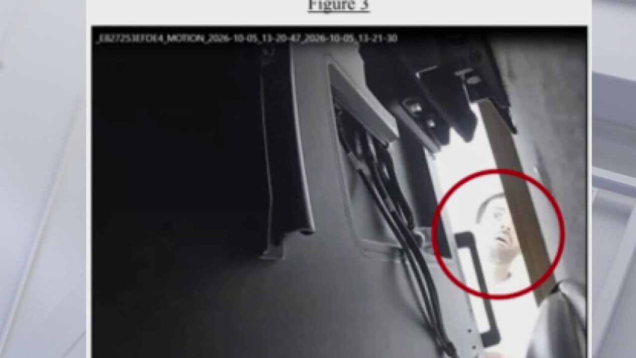 Federal grand jury indicts alleged open AI spy  — St. Helena Technology news