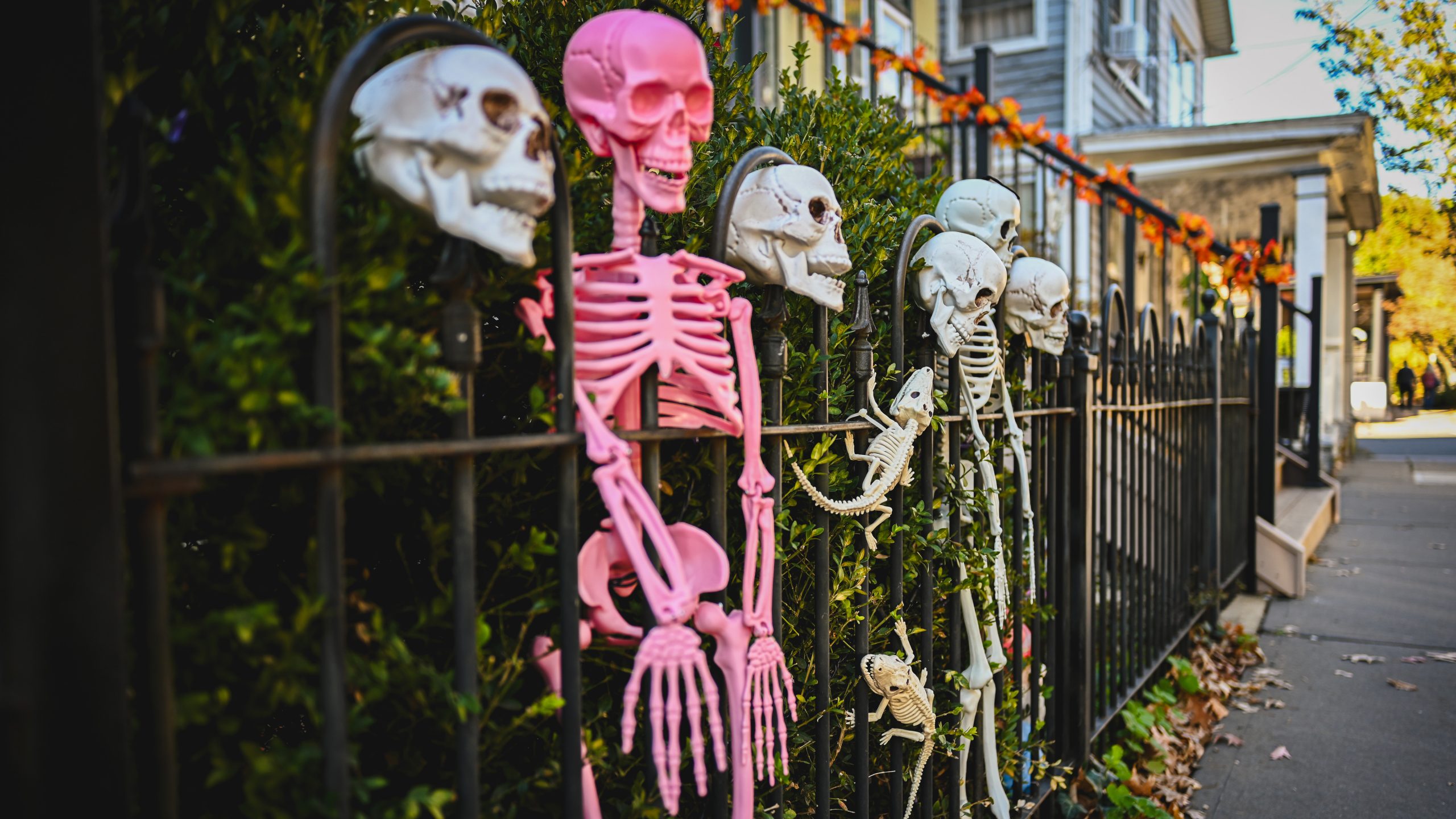 America's best cities for Halloween, ranked — KTVU FOX 2 Bay Area, St. Helena Community news